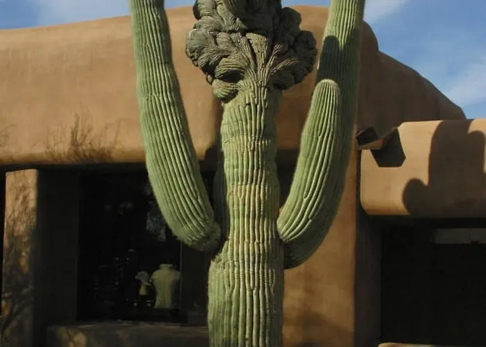 Bposhtels In Arizona Bed and breakfast